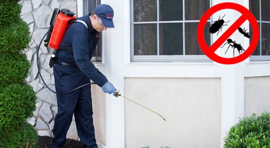 Manavkuyu Akrep İlaçlama böcek ilaçlama ve haşere kontrolü — ilaclama-tr.com